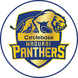 Madurai Panthers
